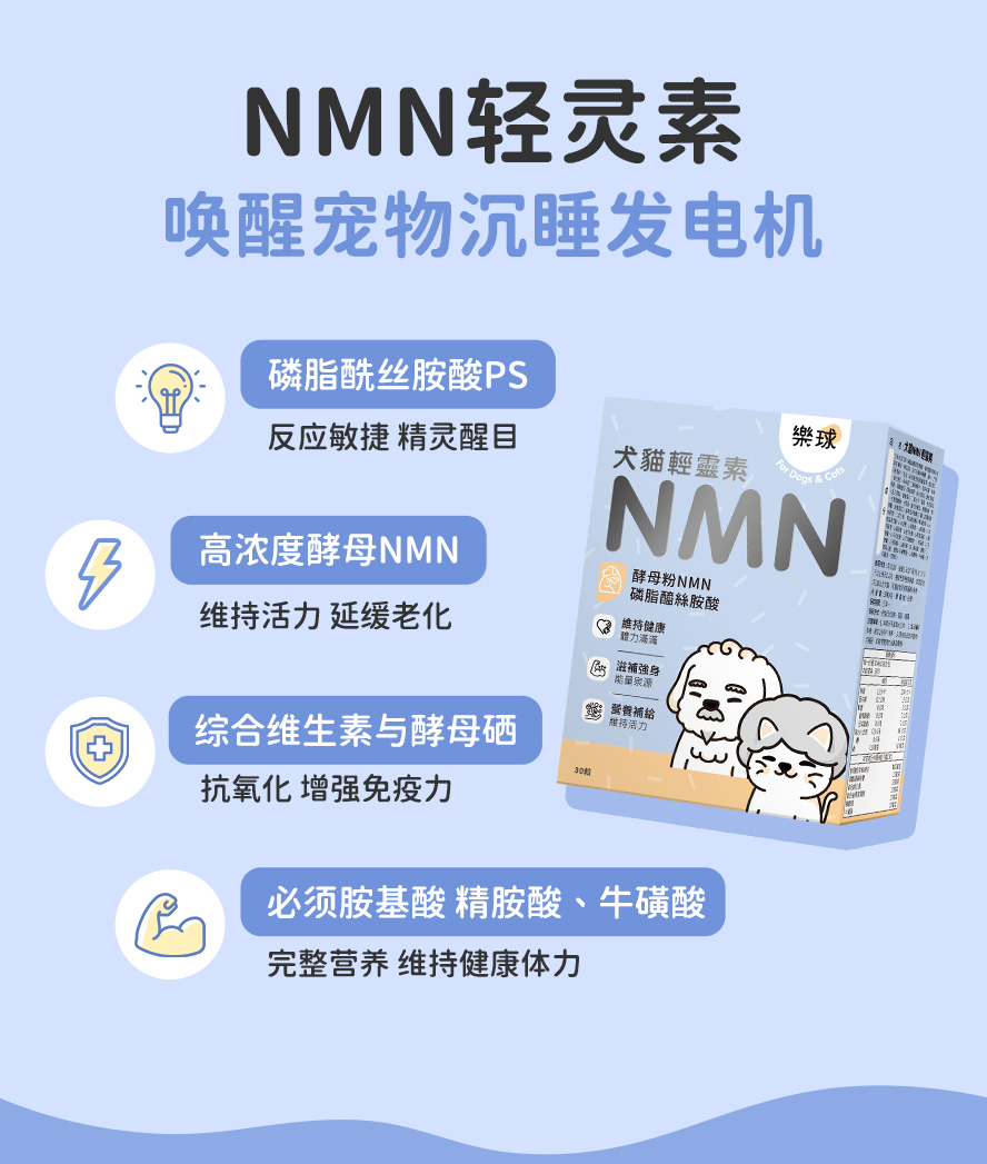 高龄犬猫活力：补充NMN延缓老化，磷脂醯丝胺酸PS提升脑部健康，恢复敏捷反应