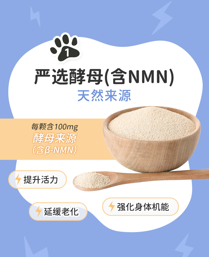 高浓度酵母NMN、磷脂醯丝胺酸、综合维生素与必需胺基酸：器官延缓老化、维持肌肉量、提升免疫力。