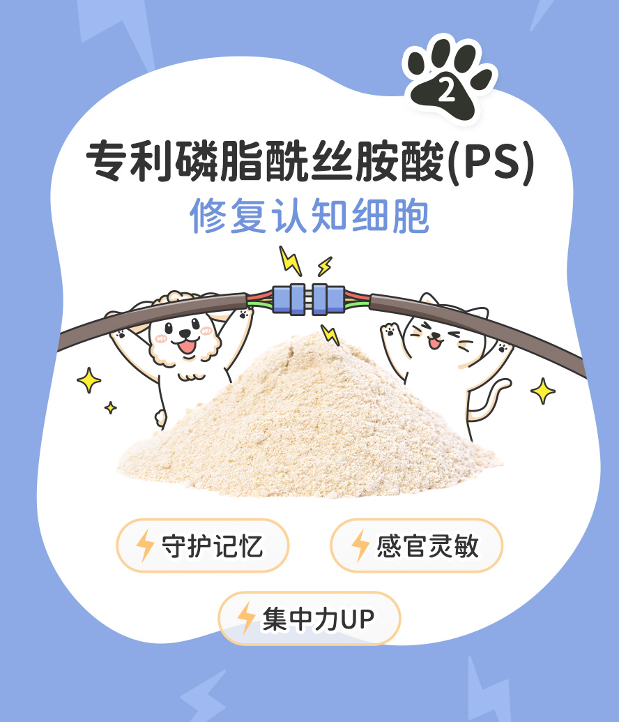 狗狗失智：专利磷脂醯丝胺酸PS，守护毛孩记忆、集中注意力、灵敏反应。