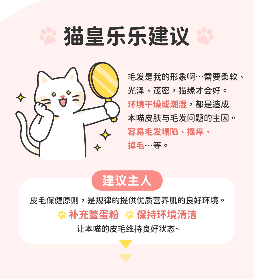 怎么维护猫咪皮毛健康?保持适宜湿度与清洁,并补充鳖蛋粉,维持皮毛健康