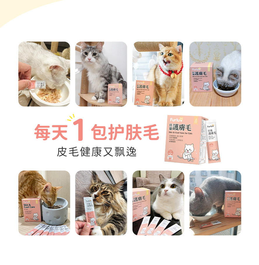 一天一包护肤毛,猫咪毛发飘逸,皮肤超健康。