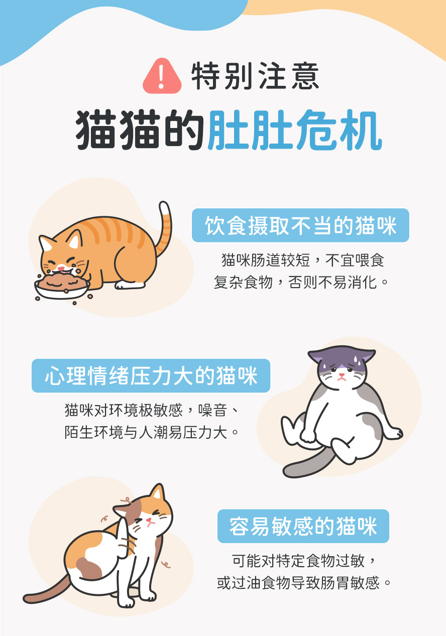 猫咪情绪易紧张、压力大、挑食、食物敏感、便秘、拉软便、容易呕吐、肠胃蠕动慢、消化不良、主人要注意。
