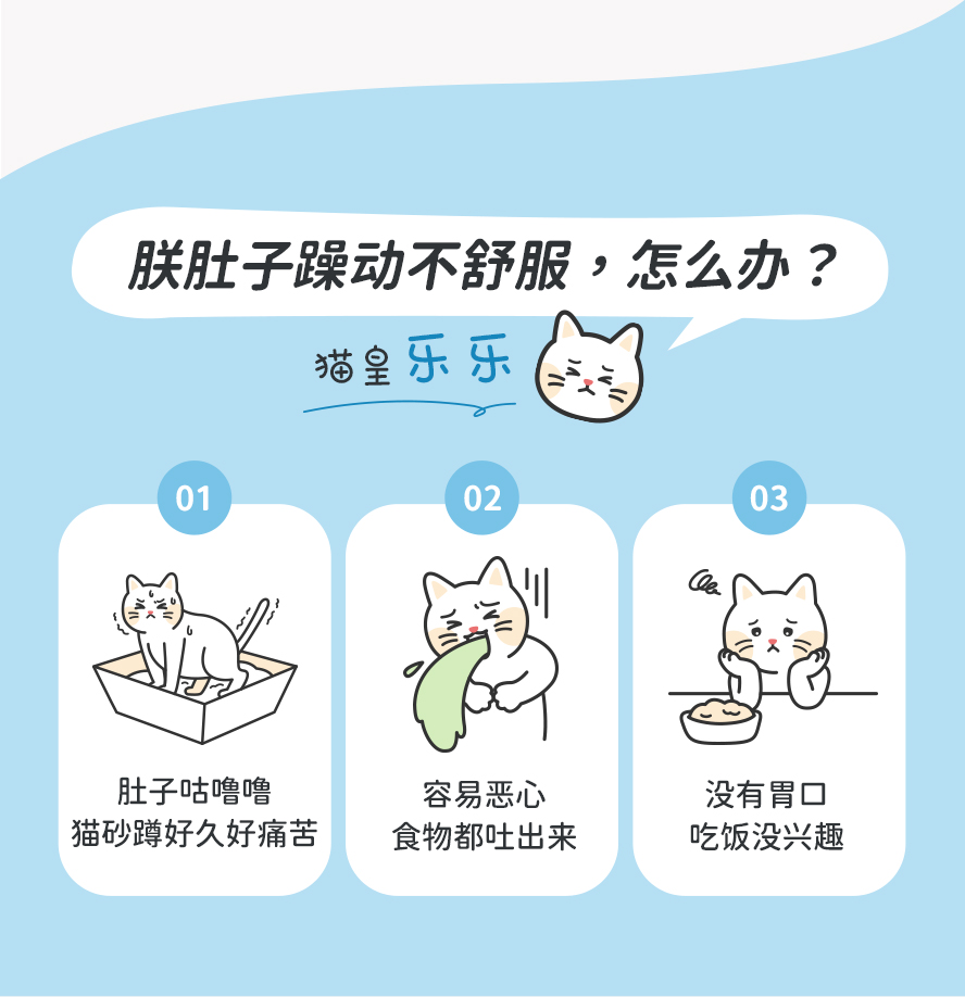 猫咪肠胃不好怎么办？猫咪肠胃不舒服：软便、便秘、呕吐、没胃口。