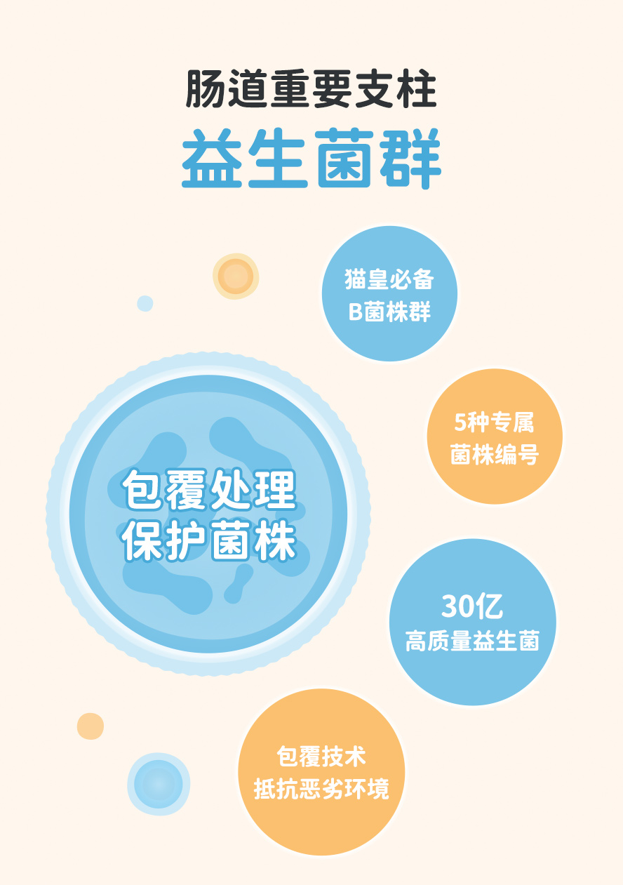 猫咪益生菌必备款：B菌、包埋、菌株编号、菌数多。