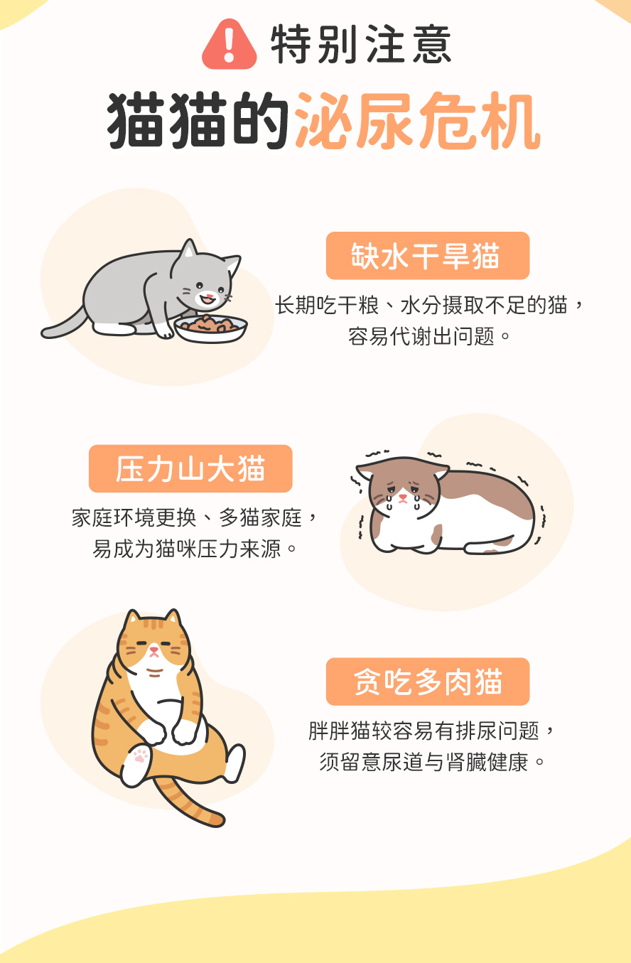 这些行为容易导致猫咪泌尿危机：只吃干粮而水分摄取不足、生活环境压力大、过重肥胖猫易阻塞尿道。
