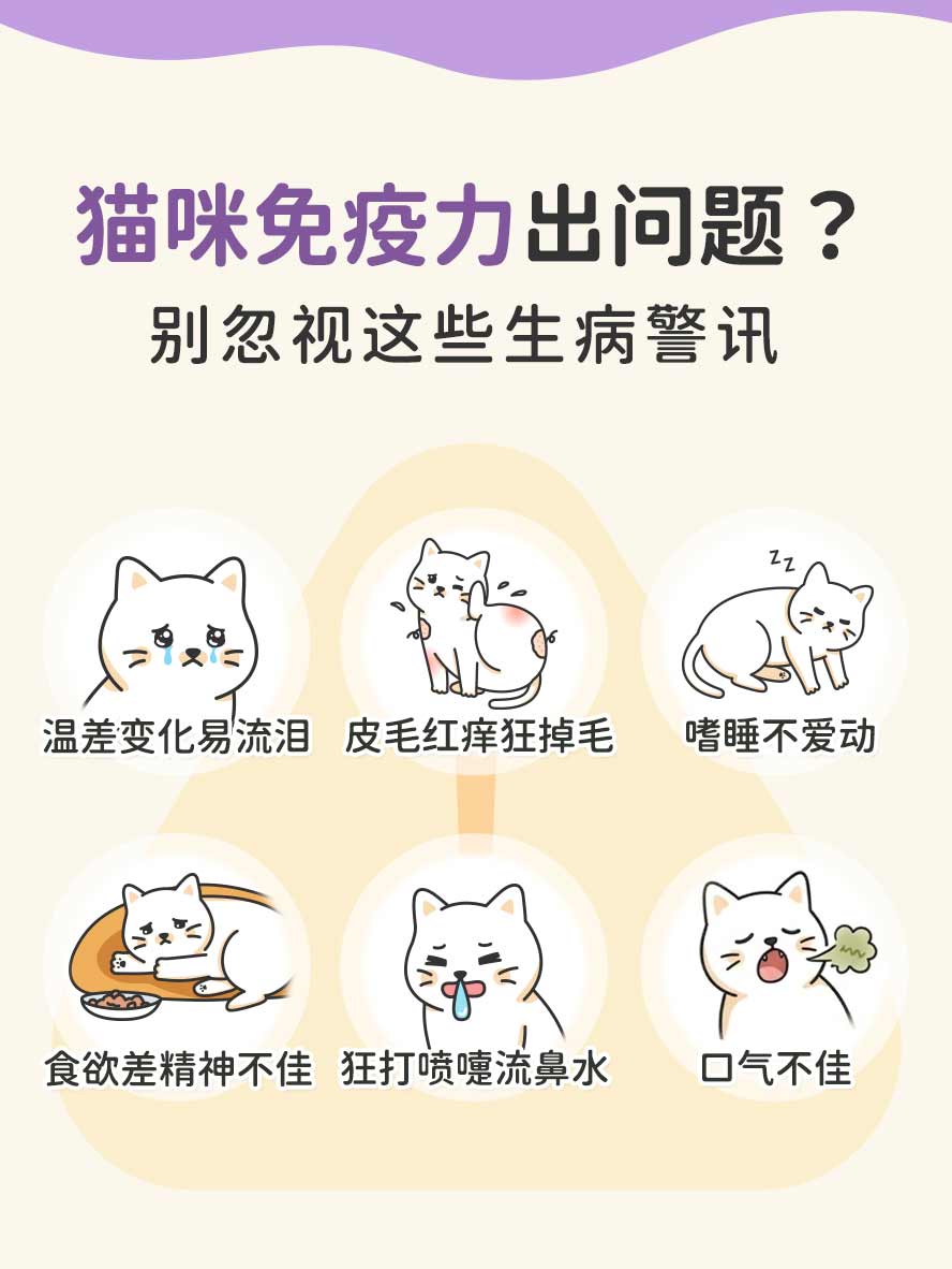 猫咪生病警讯：泪痕明显、食欲差、流鼻涕、皮毛红痒、掉毛、口臭、嗜睡、活力差、气喘。