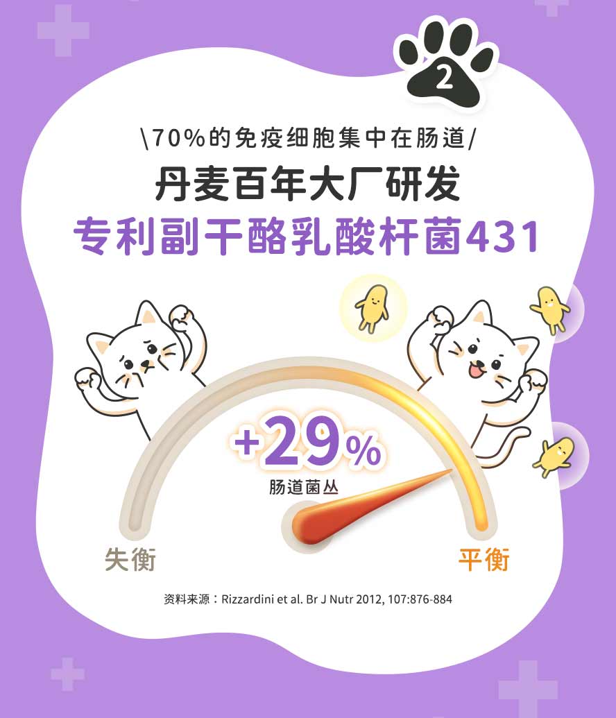 丹麦专利副干酪乳酸杆菌431：维持肠道菌丛平衡，有效提升免疫细胞活力。