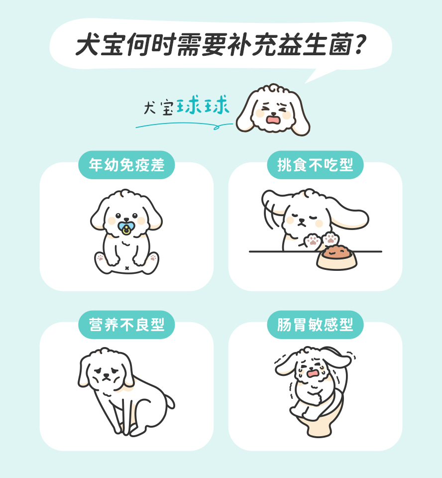 益生菌对狗狗的好处：帮助消化、促进排便、肠胃保健，补好菌可以增进肠内菌丛平衡，维持肠道基本健康。