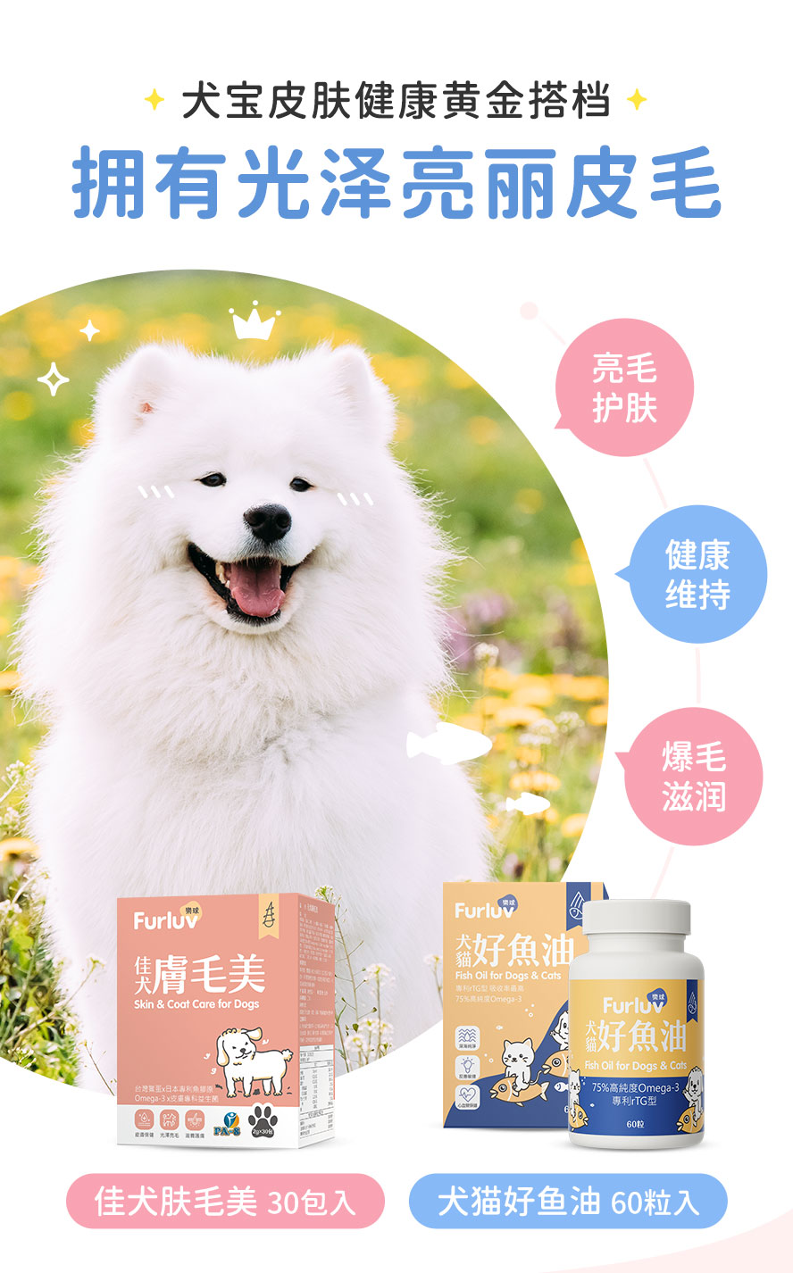 宠物皮肤保健品推荐：犬宝皮肤健康要吃皮毛保健与鱼油。