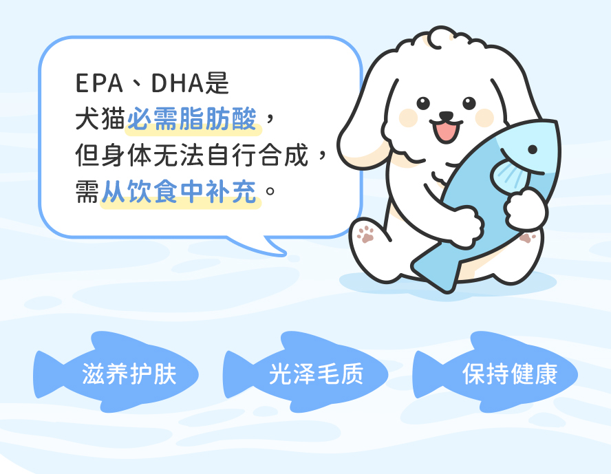 狗狗补充高吸收率的rTG形态鱼油，可以维护滋养护肤、光泽毛质、保持健康。