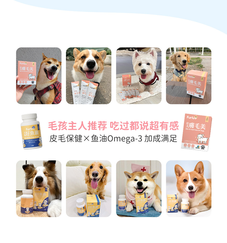 台湾知名狗狗网红主人推荐，狗狗爱吃，保持皮肤和毛发健康超有感。
