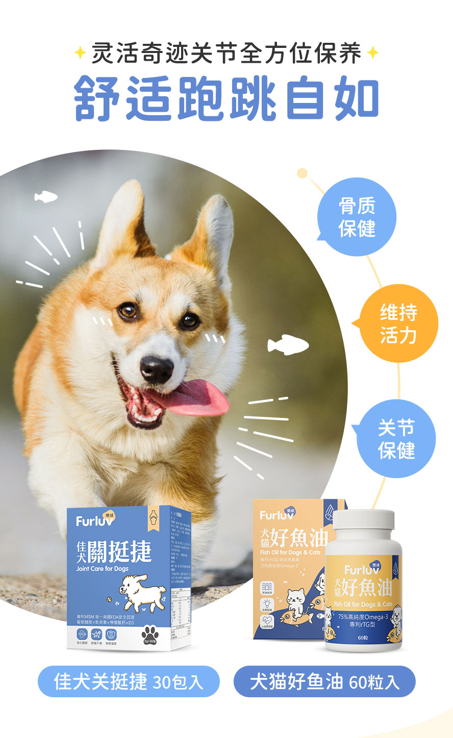 狗狗吃什么护关节：狗狗关节加强保健要吃关挺捷与好鱼油。