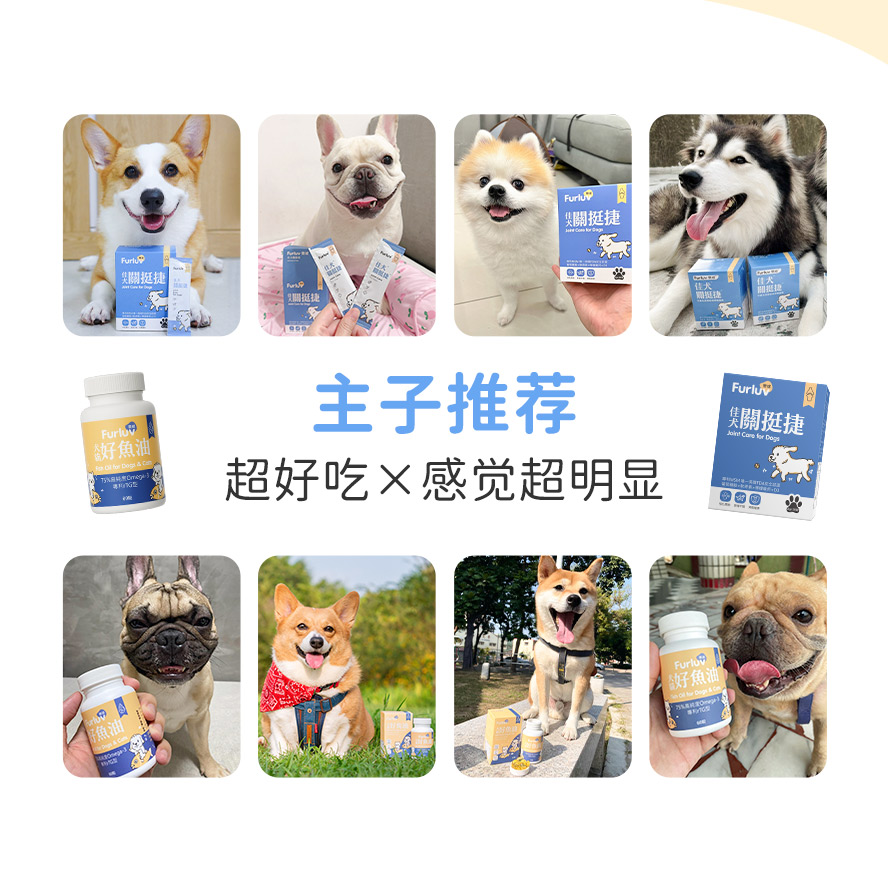 台湾知名狗网红主人推荐，狗狗爱吃，维护关节健康超有感。