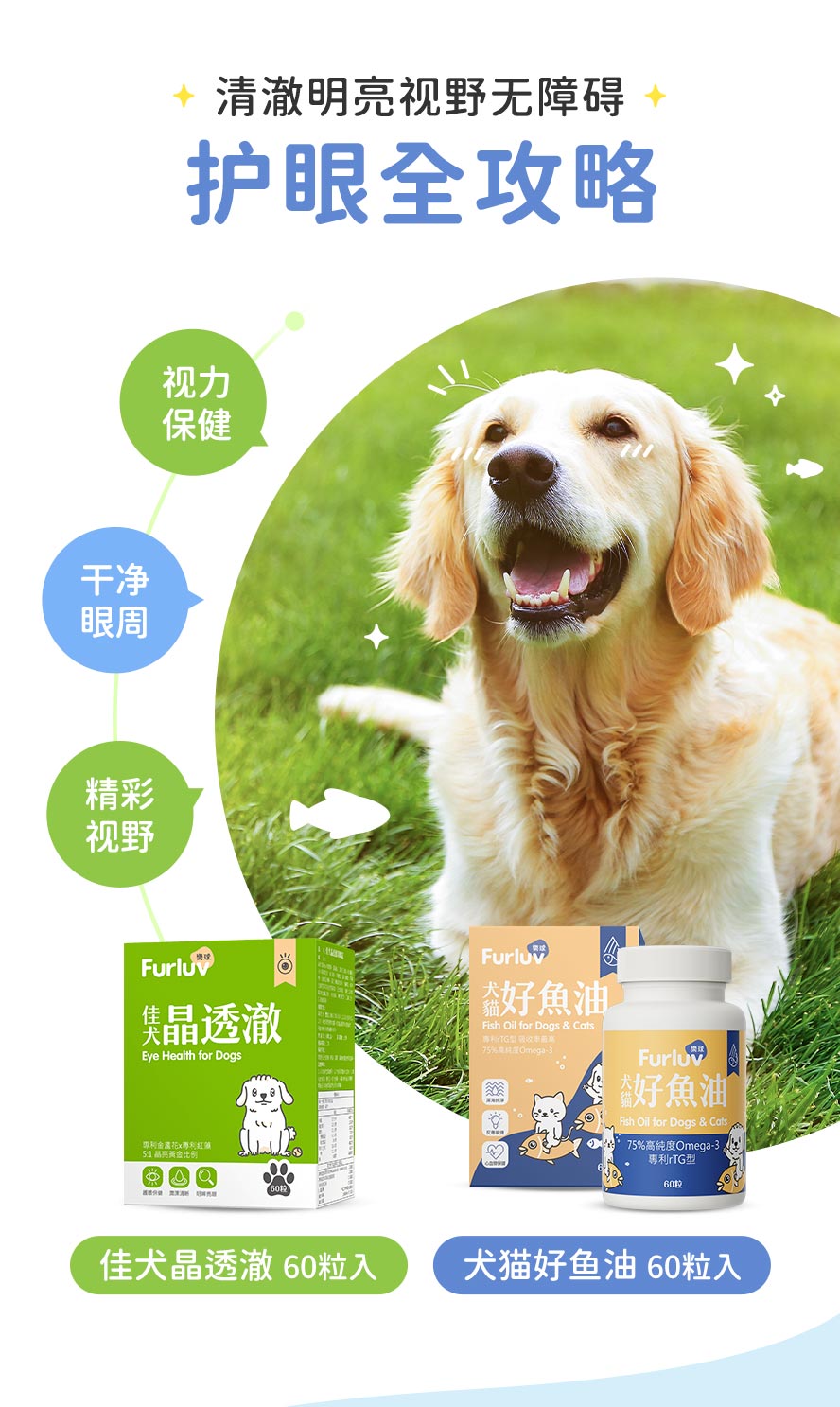 狗狗眼睛加强保健要吃护眼保健与好鱼油。