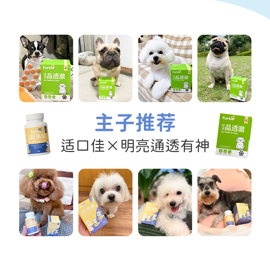 台湾知名狗狗主人推荐，适口佳，狗狗爱吃也能日常有效护眼。