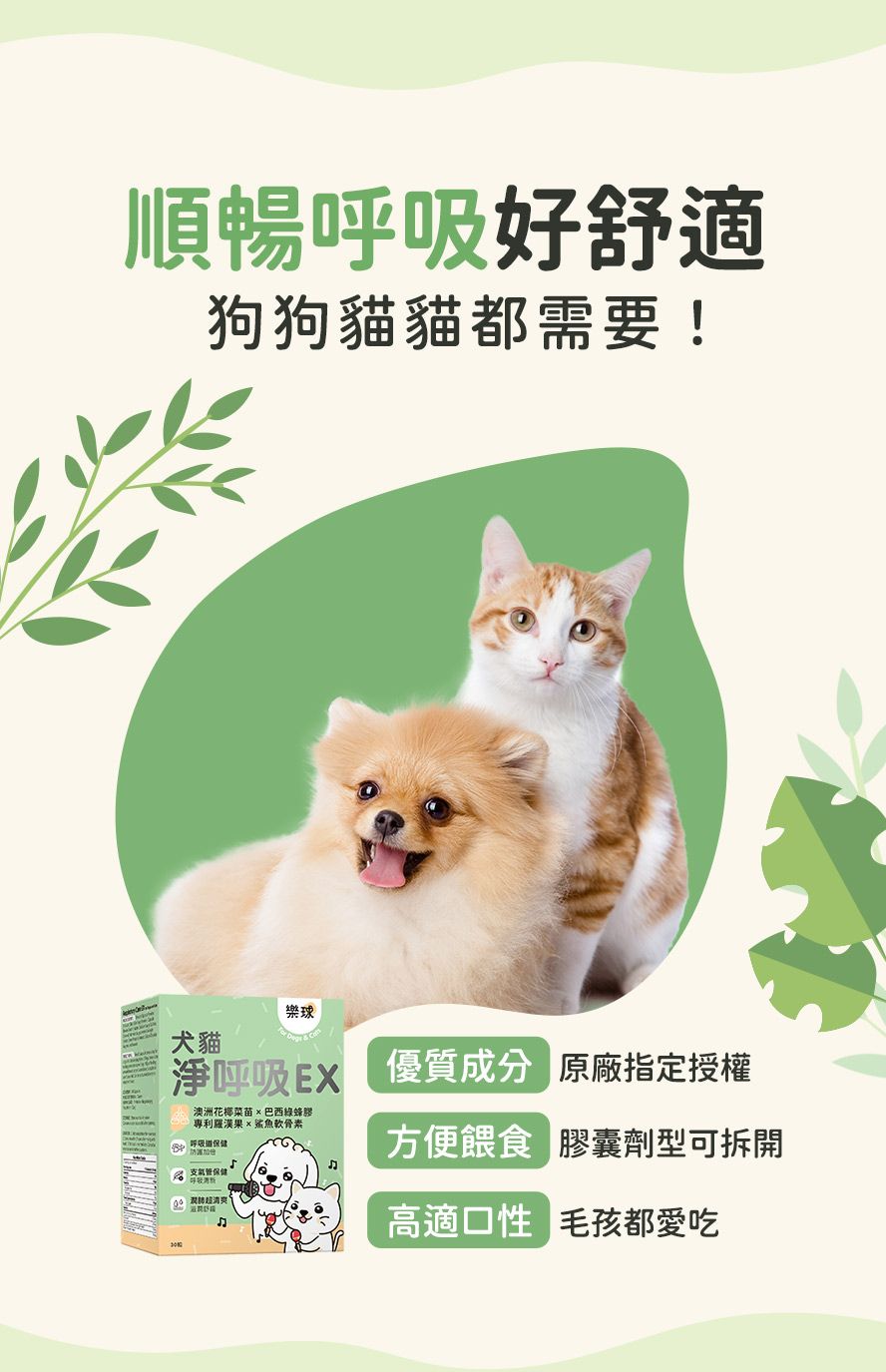 樂球淨呼吸特別採用膠囊劑型,可使用餵食器,直接餵食或拌入飼料中,超高適口性,毛孩都愛吃。