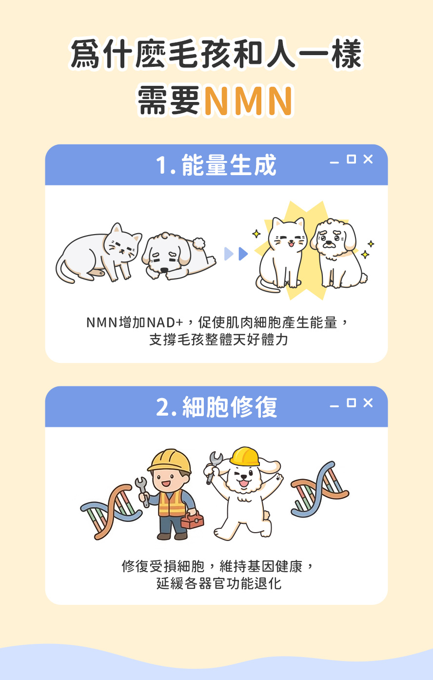 爲什麽毛孩需要NMN？NAD+的增加讓毛孩整天充沛體力，延緩身體各器官的老化。