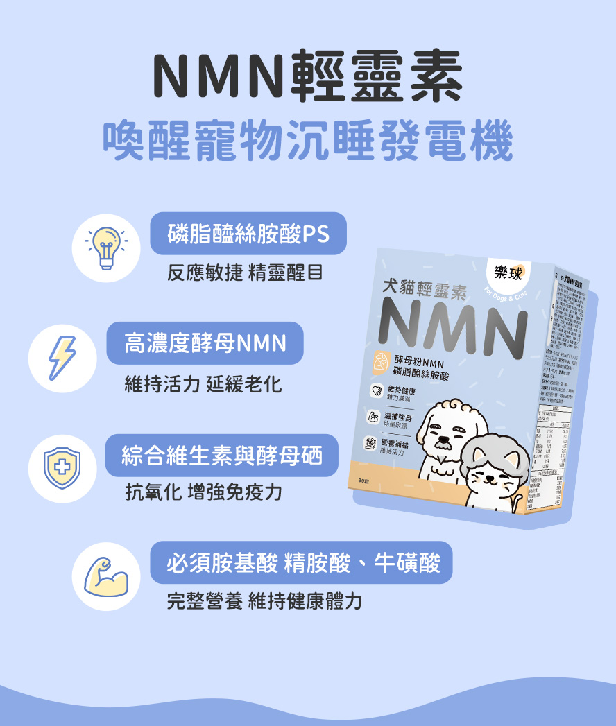 高齡犬貓活力：補充NMN延緩老化，磷脂醯絲胺酸PS提升腦部健康，恢復敏捷反應