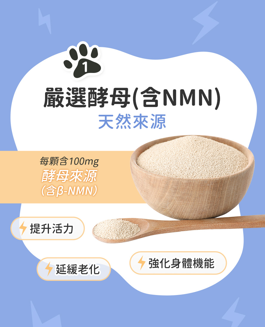 高濃度酵母NMN、磷脂醯絲胺酸、綜合維生素與必需胺基酸：器官延緩老化、維持肌肉量、提升免疫力。