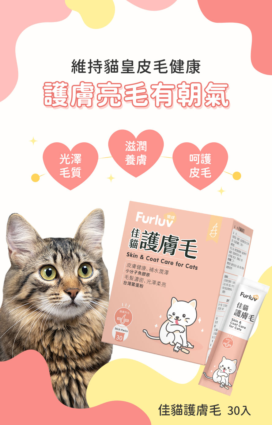 Furluv樂球佳貓護膚毛滋養護膚、爆毛,亮毛有朝氣。