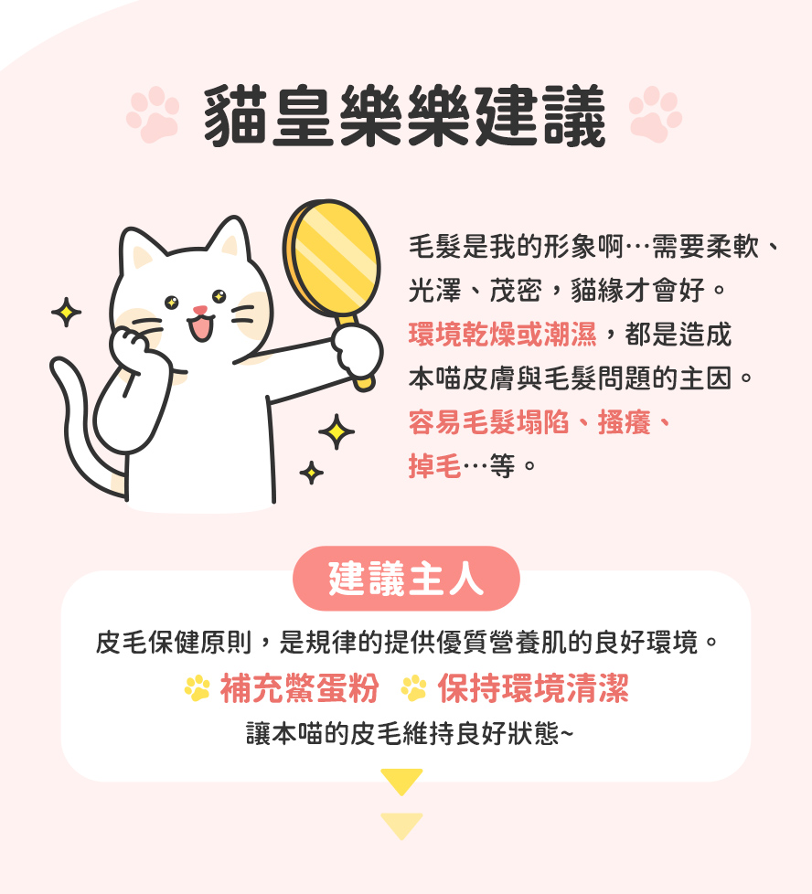 怎麽維護貓咪皮毛健康?保持適宜濕度與清潔,並補充鱉蛋粉,維持皮毛健康