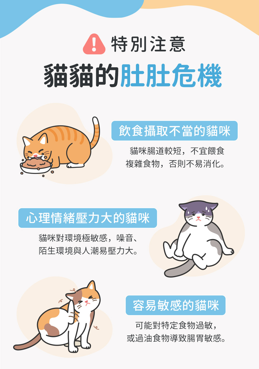 貓咪情緒易緊張、壓力大、挑食、食物敏感、便秘、拉軟便、容易嘔吐、腸胃蠕動慢、消化不良、主人要注意。