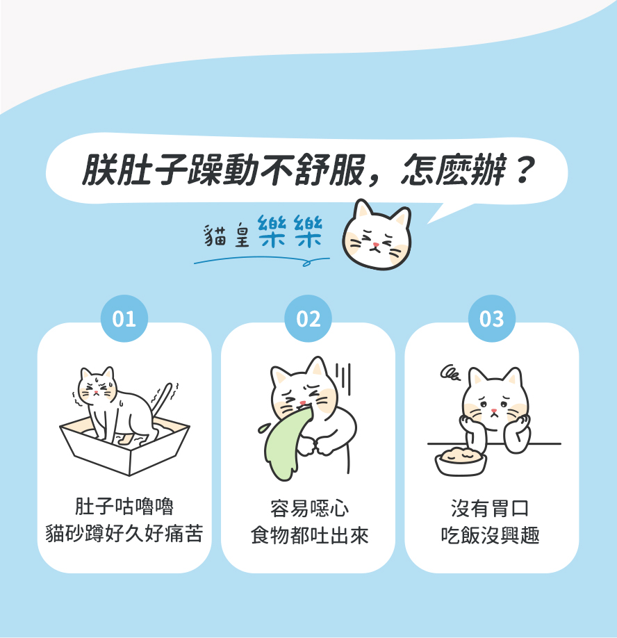 貓咪腸胃不好怎麼辦？貓咪腸胃不舒服：軟便、便秘、嘔吐、沒胃口。