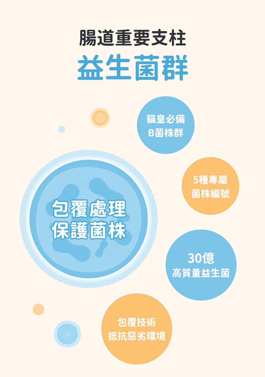 貓咪益生菌必備款：B菌、包埋、菌株編號、菌數多。