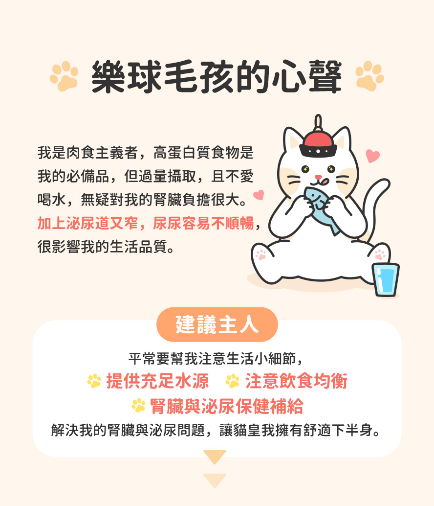 瞭解貓咪生理結構與習性，避免引起貓咪腎病、泌尿道發炎、尿道感染、泌尿道結石等疾病。