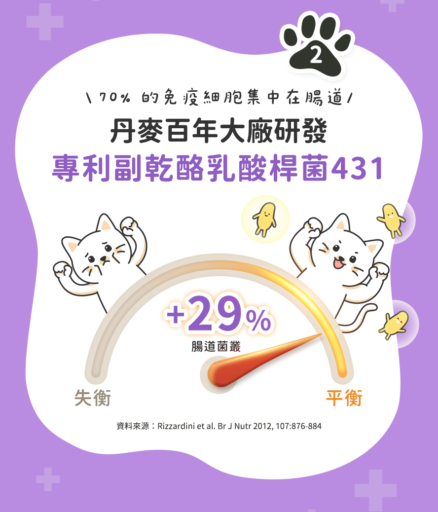 丹麥專利副乾酪乳酸桿菌431：維持腸道菌叢平衡，有效提升免疫細胞活力。