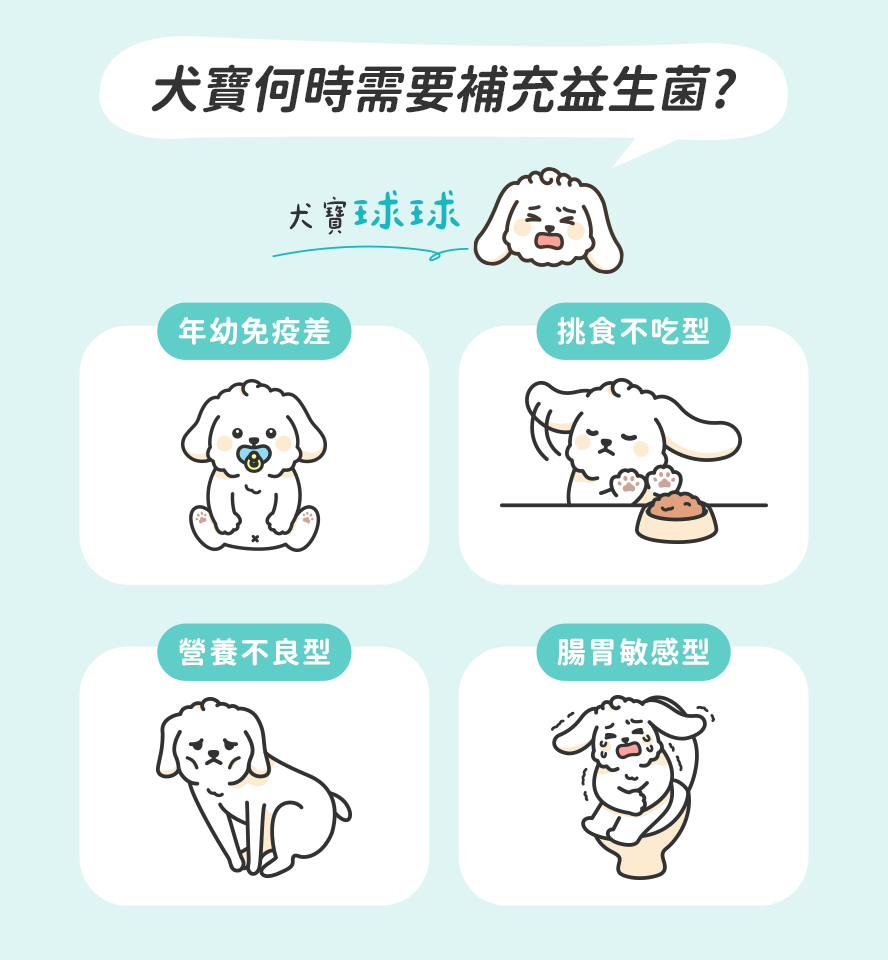 益生菌對狗狗的好處：幫助消化、促進排便、腸胃保健，補好菌可以增進腸內菌叢平衡，維持腸道基本健康。