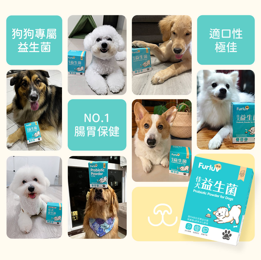 狗狗益生菌推薦：腸道益生菌，按時補充、大便順暢超有感，眾多狗狗網紅實際體驗後的真誠推薦