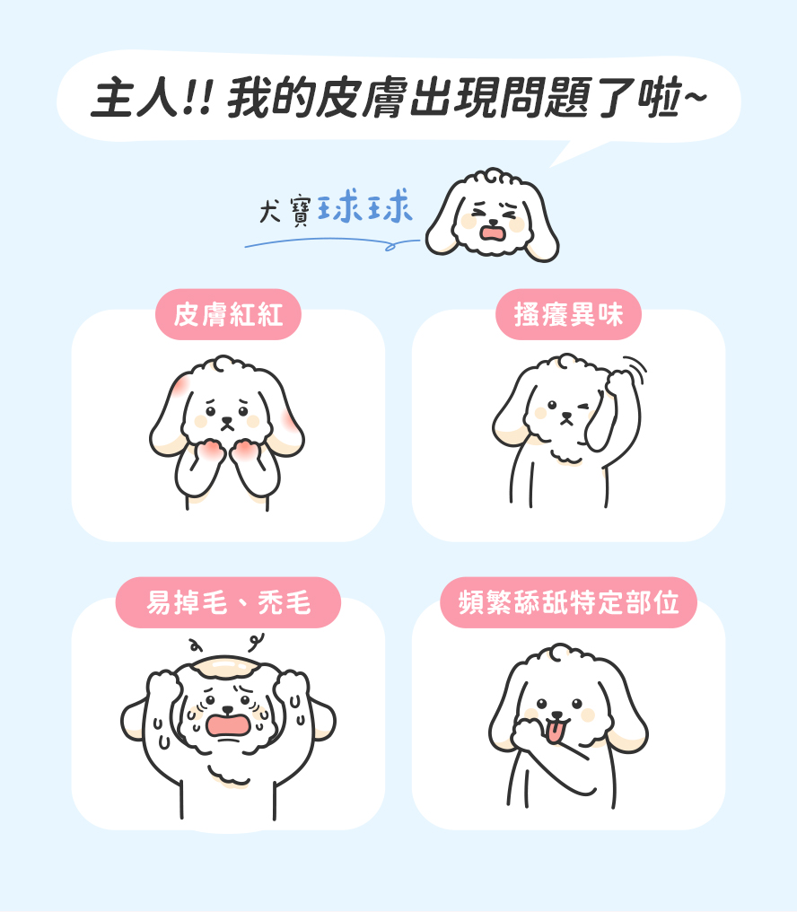 狗狗皮膚問題症狀：紅紅的、有異味、禿頭、搔癢情況，主人真煩惱。