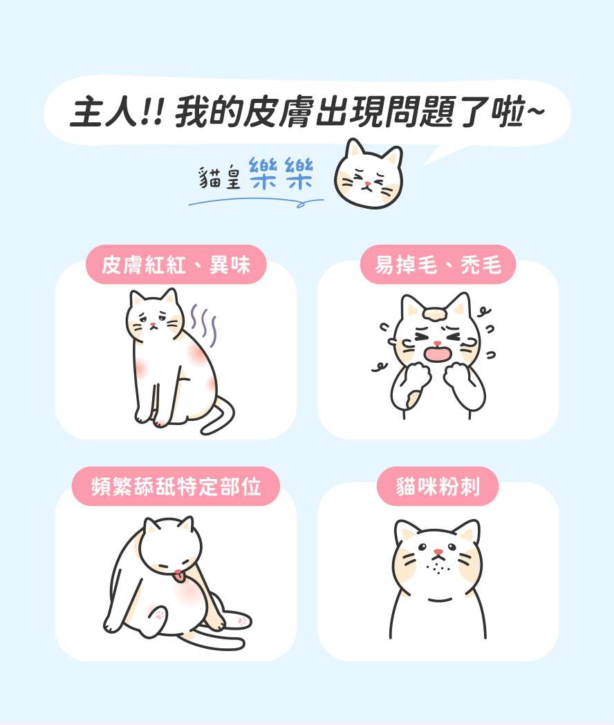貓咪皮膚問題症狀:紅紅的、有異味、禿毛、粉刺、過度舔舐特定部位、搔癢情況,主人真煩惱。