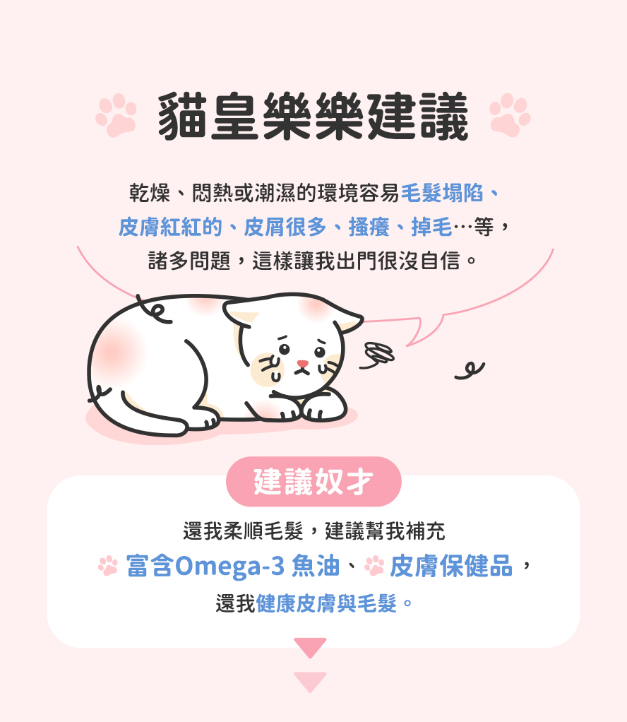 改善貓咪皮膚健康的方法,貓咪皮膚出現問題怎麼辦?