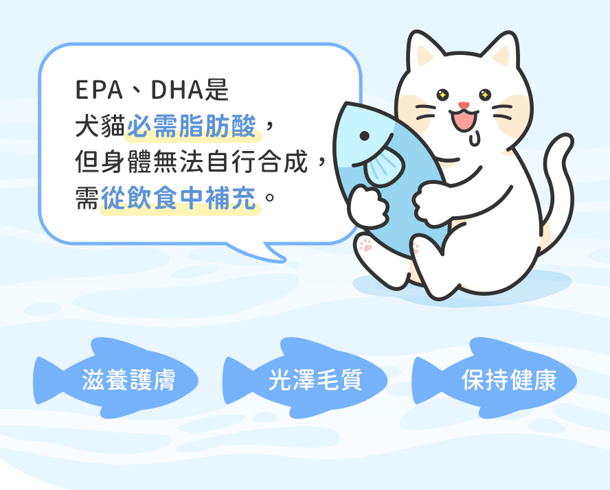 貓主子補充高吸收率的rTG形態魚油,可以維護滋養護膚、光澤毛質、保持健康。
