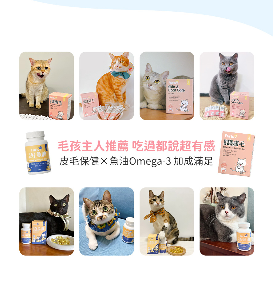 台灣知名貓咪網紅主人推薦,貓咪愛吃,保持皮膚和毛髮健康超有感。