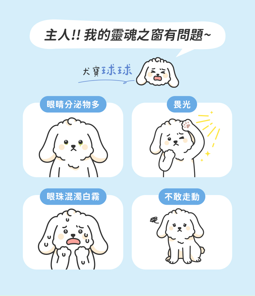 狗狗眼睛有問題怎麽看：分泌物多、畏光、混濁白霧、不敢走路。