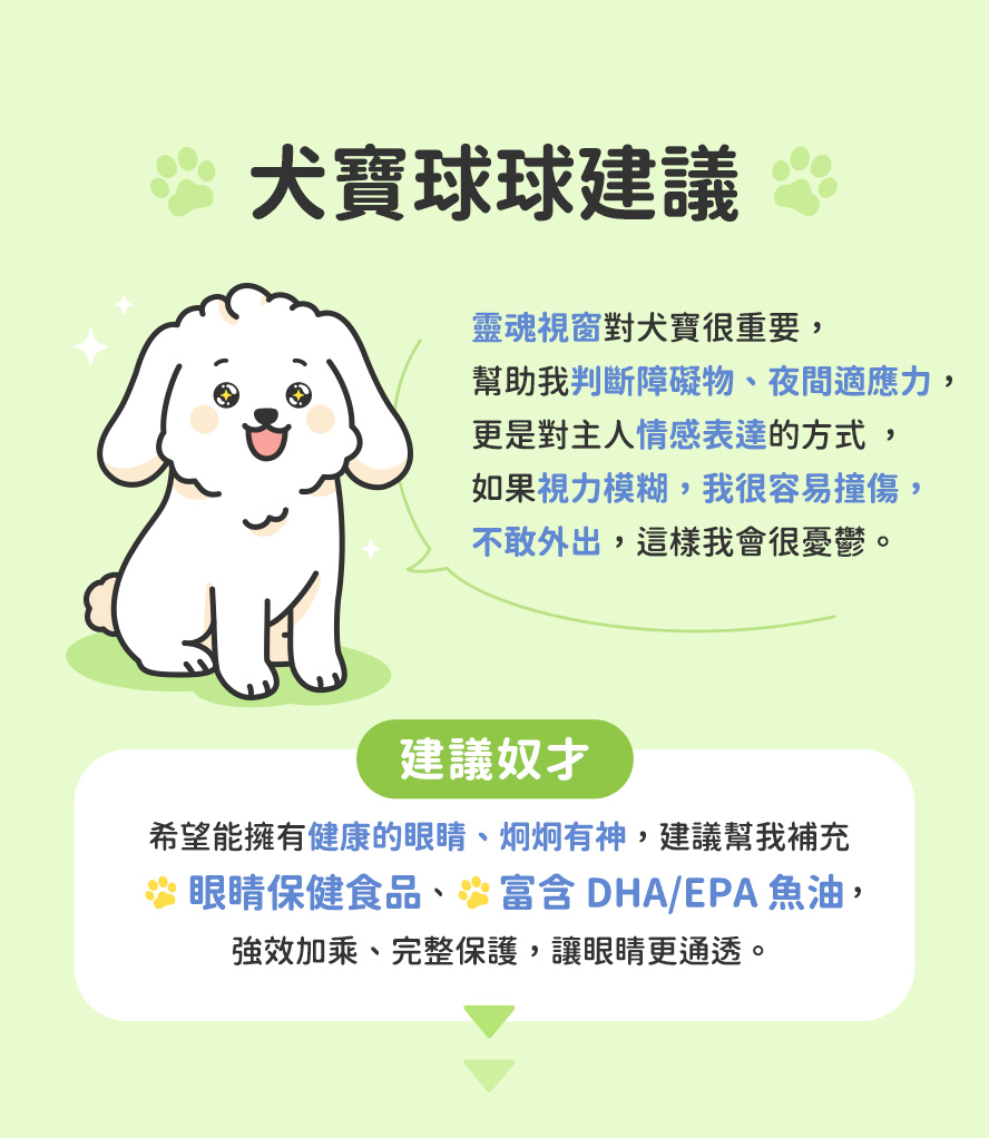 犬寶的內心建議與心聲，幫助它們維持清晰實視力，延緩眼睛老化，這就教你眼睛保健的方法。