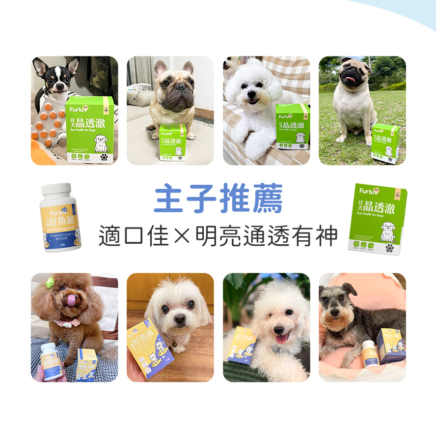 台灣知名狗狗主人推薦，適口佳，狗狗愛吃也能日常有效護眼。