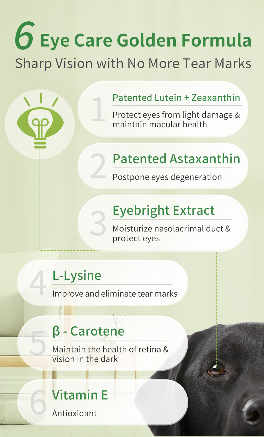 Eye care formulated for dogs with patented lutein, astaxanthin, and complex formula to promote sharp vision and soothe tear marks problem