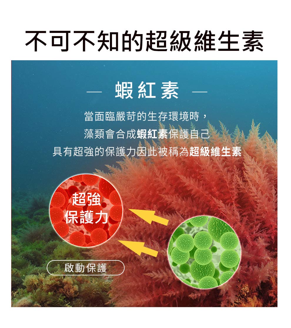 蝦紅素+ TG深海魚油