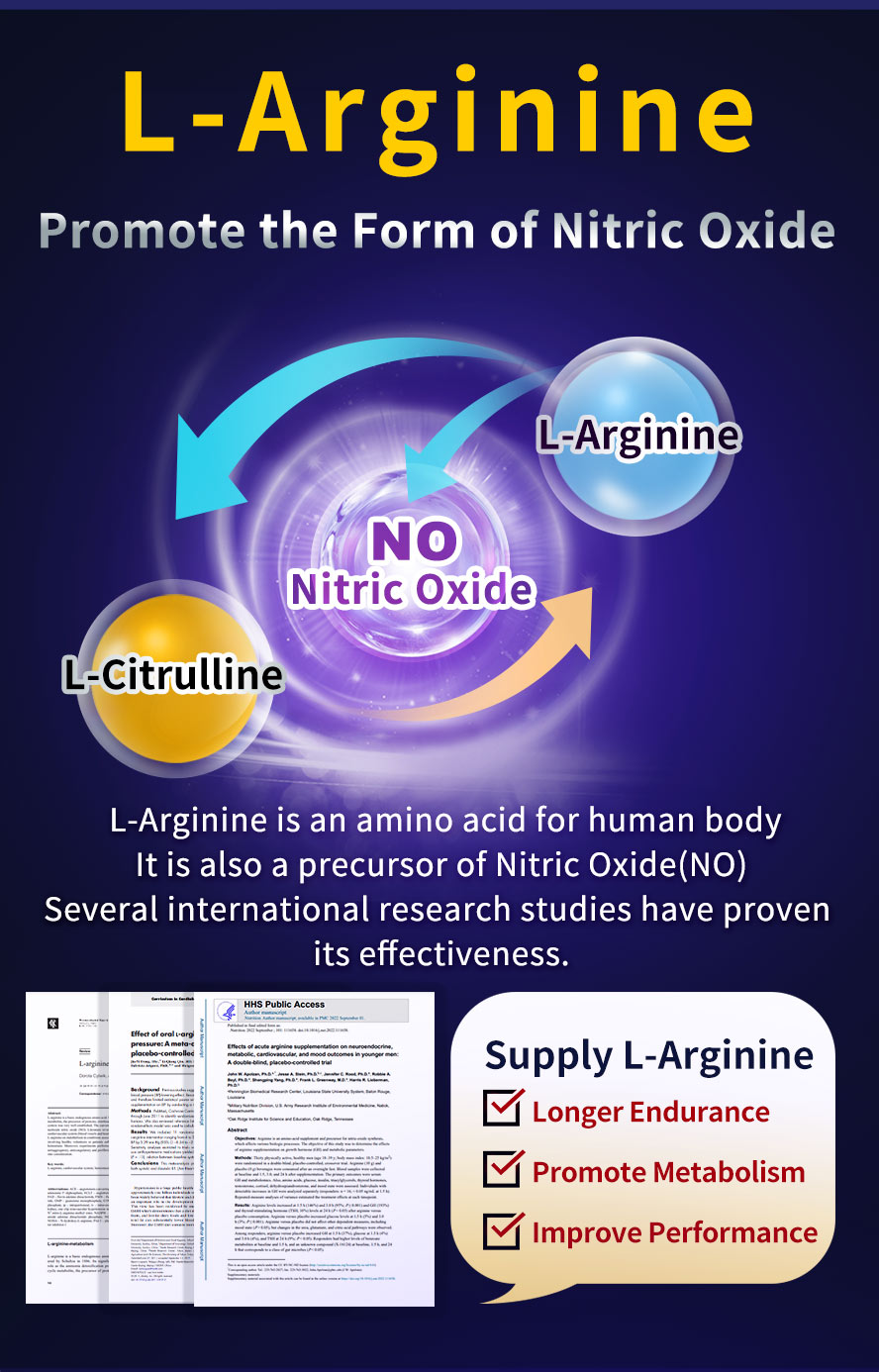 L-Arginine is an essential amino acids to human body which helps to produce nitric oxide for longer endurance, promote metabolism, and improve performance.
