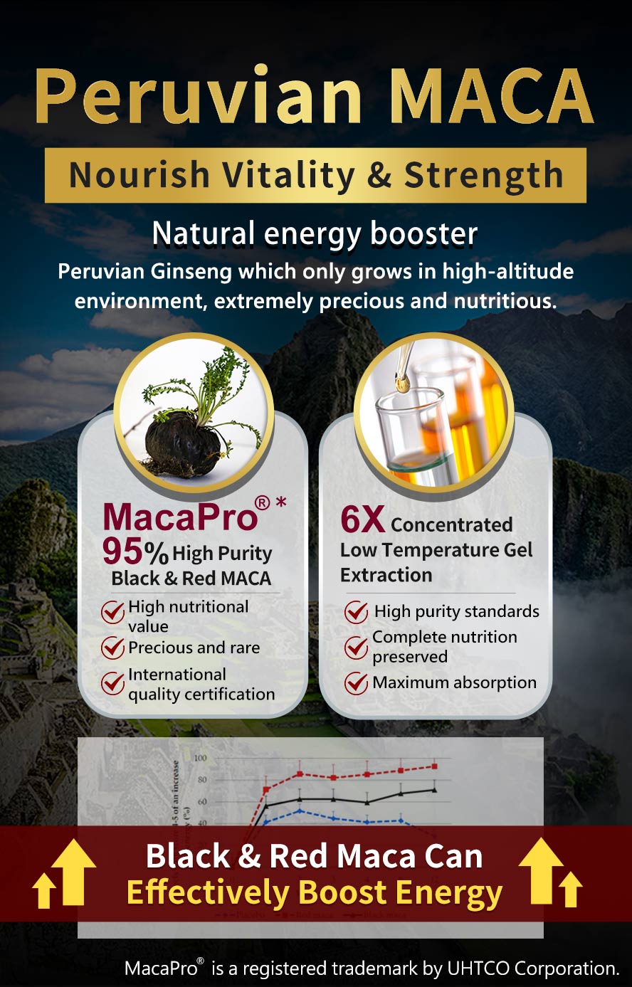UNIQMAN Maca as known as peruvian ginseng, 95% of 6 times concentrated rare Maca can restore energy & increase physical strength