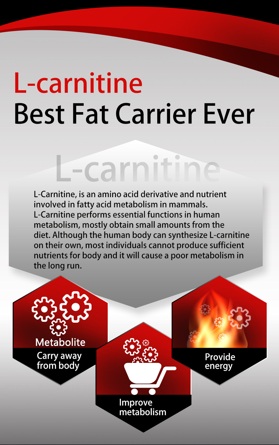UNIQMAN L-carnitine contains vitamin B complex to enhance the immune system and heart health