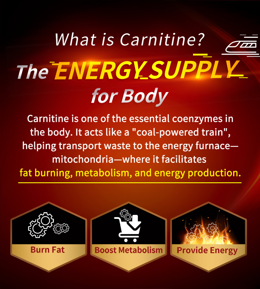 UNIQMAN L-carnitine contains vitamin B complex to enhance the immune system and heart health