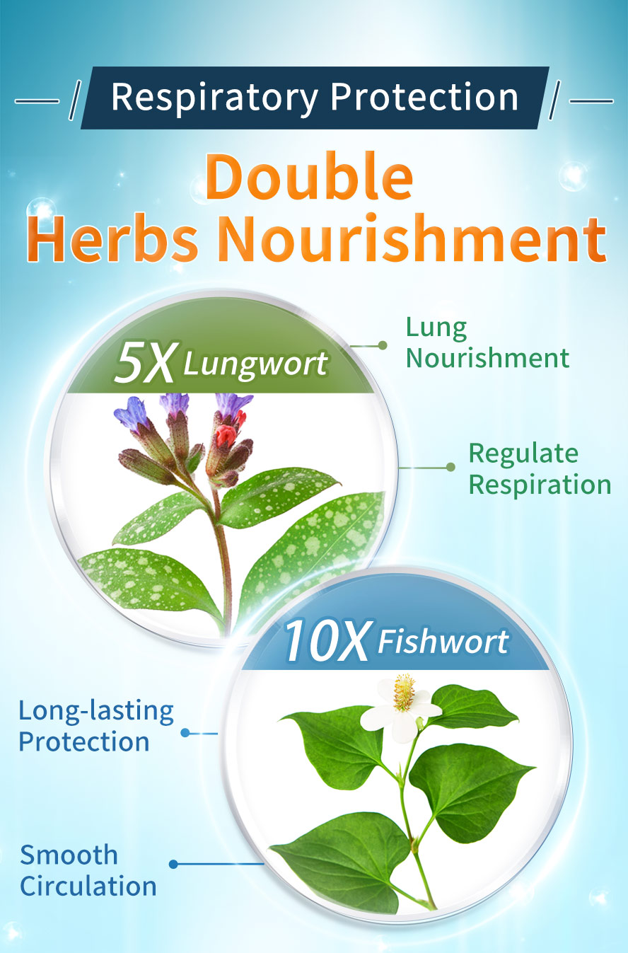 Herbs lung nourishment with 5X lungwort & 10X fishwort for respiratory protection