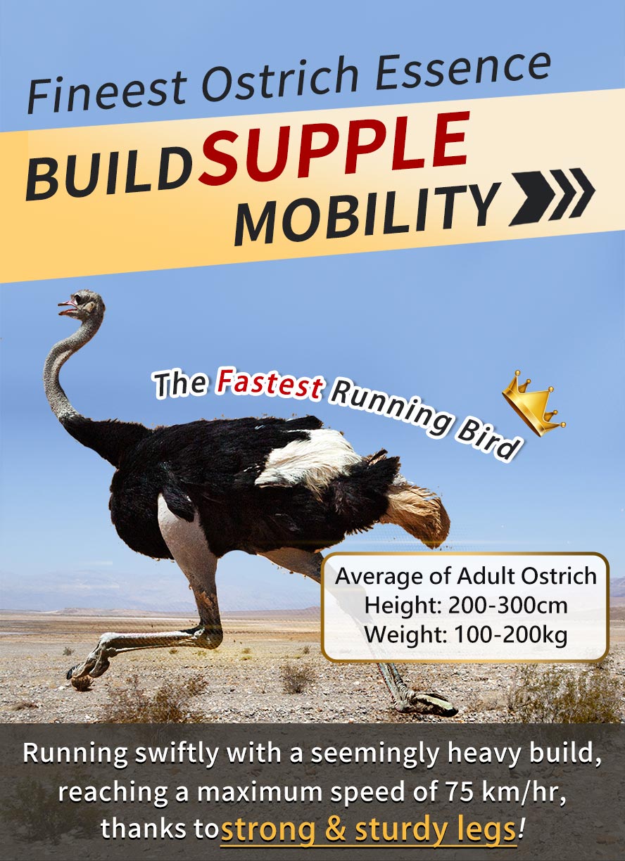 Essence of Ostrich Capsules is sourced from Taiwan premium quality ostrich to help you maintain strong bones.