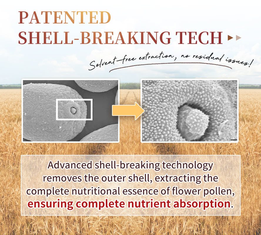 Advanced shell-breaking technology to ensure complete nutrient absorption.
