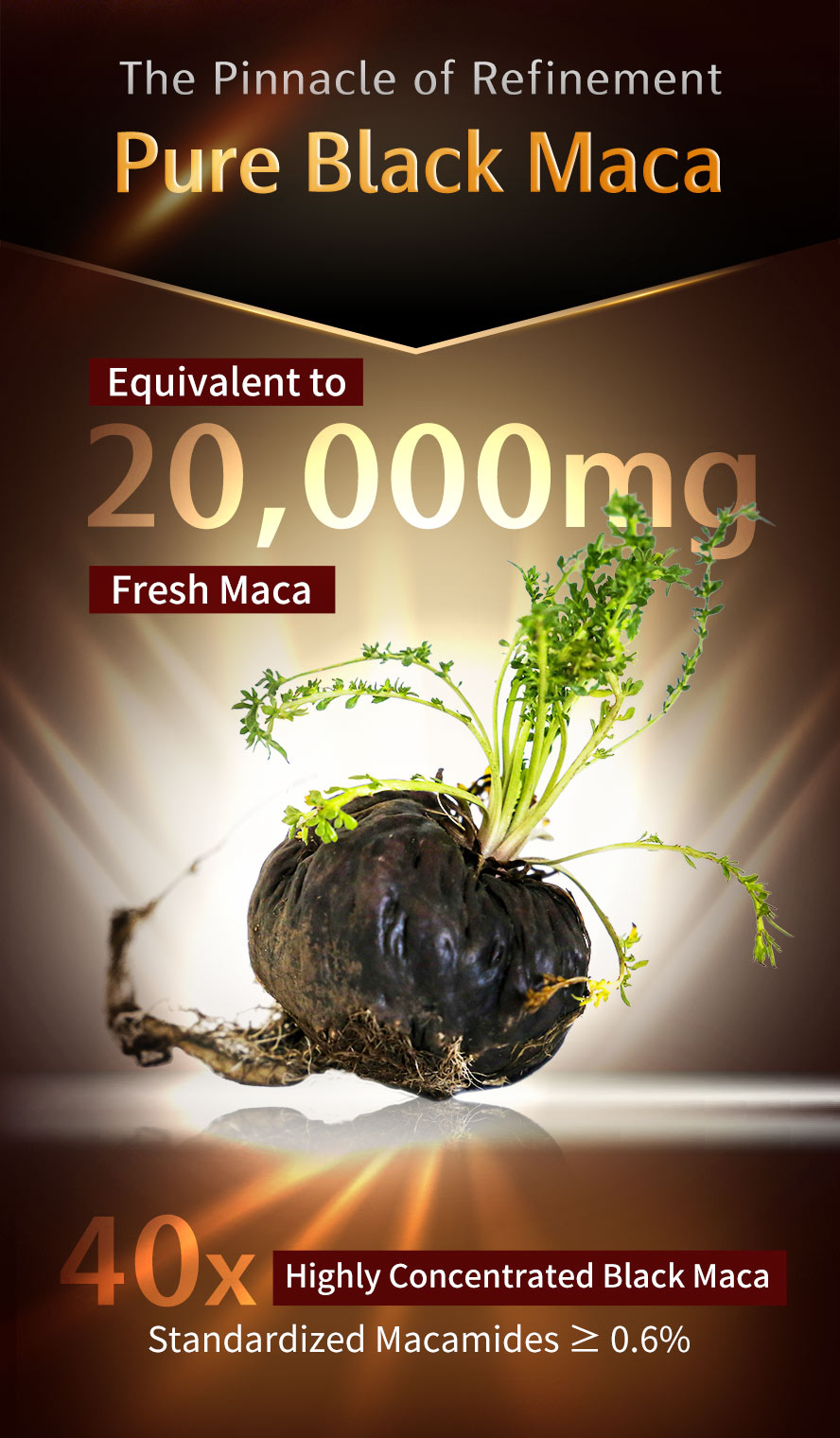 UNIQMAN Black Maca 40x Concentration: High concentration and potent formula, each capsule equivalent to 20,000mg of fresh Black Maca.